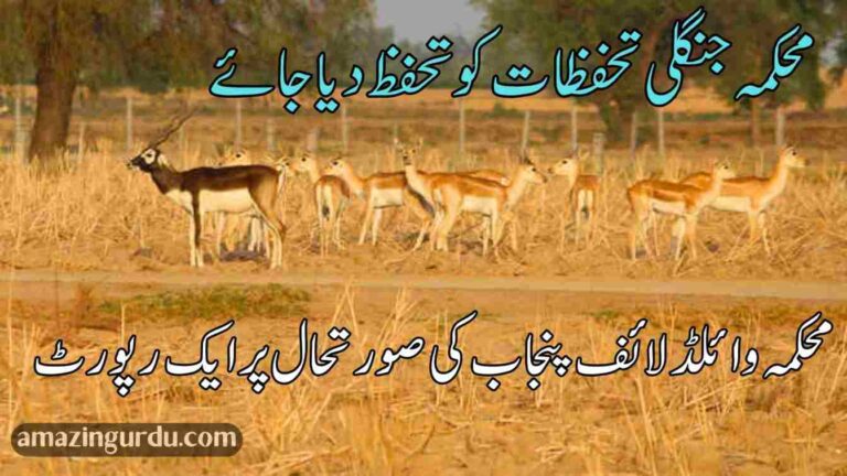 محکمہ جنگلی تحفظات کو تحفظ دیا جائے | محکمہ وائلڈ لائف پنجاب رپورٹ