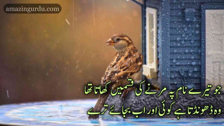 ہزار وقت نے نعم البدل دکھاۓ ترے | خوبصورت اردو غزلیہ شاعری