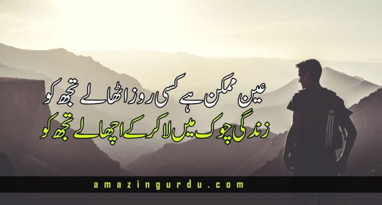 عین ممکن ہے کسی روز اٹھا لے تجھ کو | اداس اردو شاعری