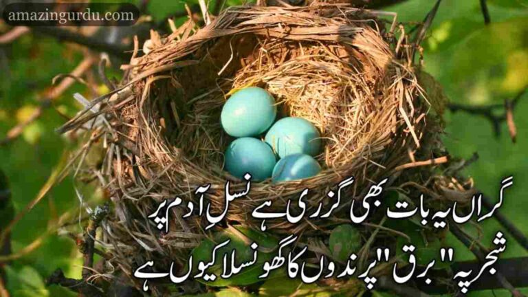 بھلا چکا ہوں جسے اُس کو سوچتا کیوں ہے | اردو غزل