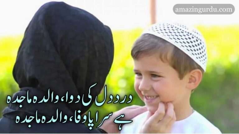 درد دل کی دوا والدہ ماجدہ۔۔۔ ہے سراپا وفا والدہ ماجدہ | ماں پر شاعری