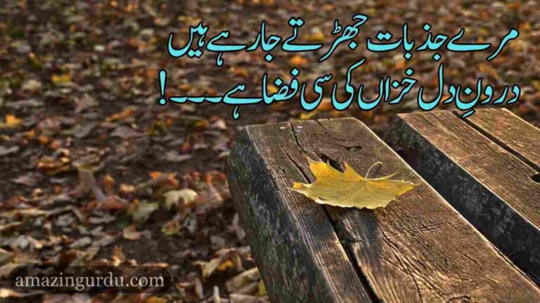 کتابِ دل سمجھ سے ماورا ہے مگر یہ دل سمجھنے پر تُلا ہے | دل آویز شاعری