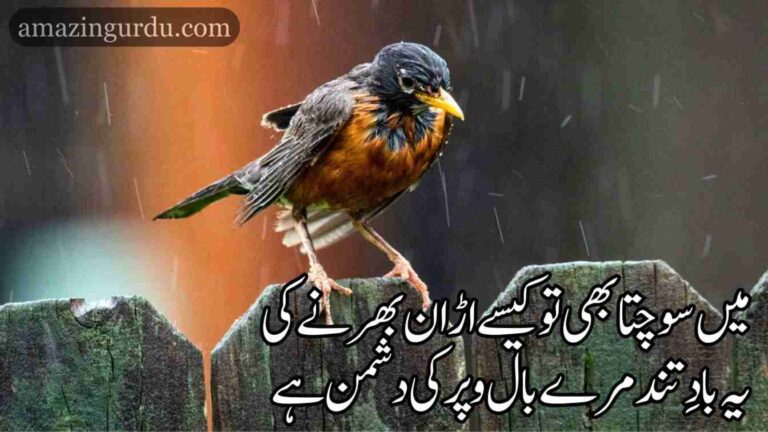 یقین کیجئے قلب و جگر کی دشمن ہے | خوبصورت اردو شاعری