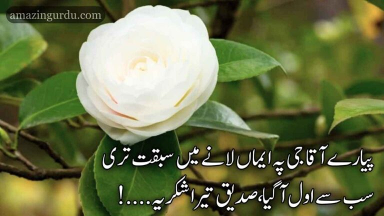 کی ہے آقا  سے وفا ، صدیق تیرا شکریہ | حضرت ابوبکر صدیق رضی اللہ عنہ پر اشعار