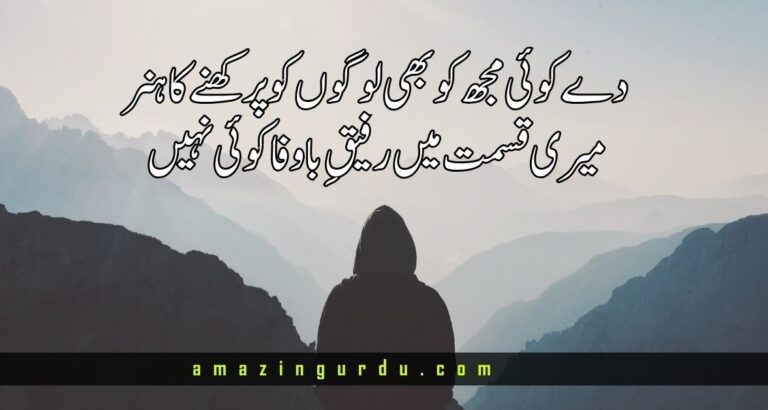 میں شکستہ دل ہوں میرا ہمنوا کوئی نہیں | دوستی پر شاعری