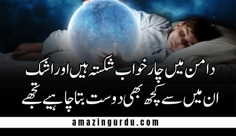 دولت بھی ہے سکوں بھی تو کیا چاہیے تجھے | چاہت پر اردو شاعری