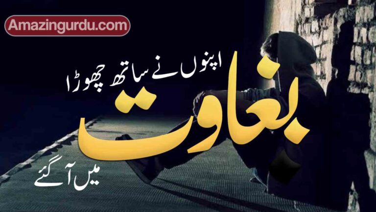 اپنوں نے ساتھ چھوڑا بغاوت میں آگئے|بغاوت پر اشعار