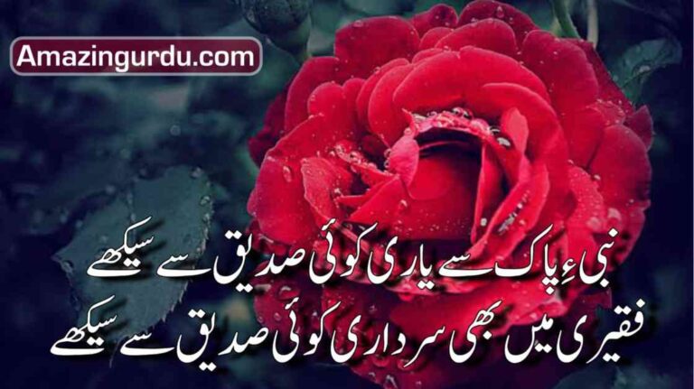 نبیءِ پاک سے یاری ۔۔۔کوئی صدیق سے سیکھے|اردو منقبت