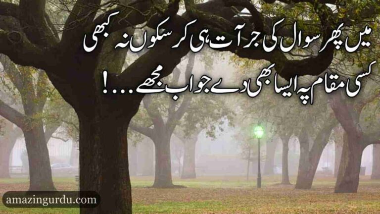 وہ بار بار جو کہتا رہا جناب مجھے | سوال و جواب پر اردو غزلیہ شاعری