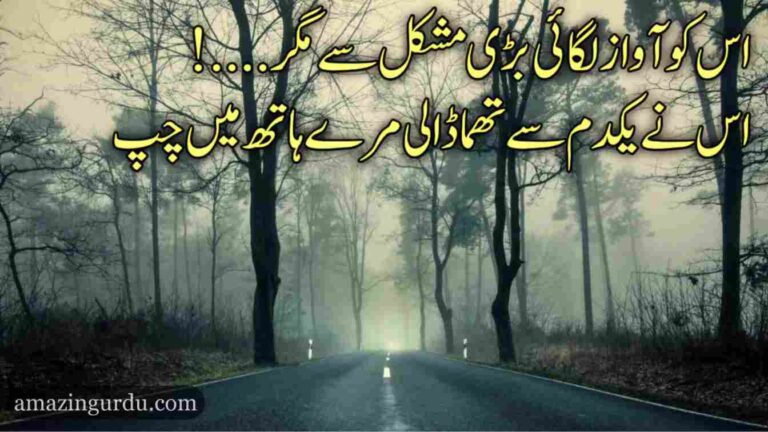 سامنے جس کے ہوا کرتی تھی ہر بات میں چپ | خاموشی پر اشعار