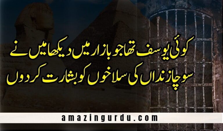 تو اگر کہہ دے تو اتنی سی جسارت کردوں | اردو غزلیہ شاعری