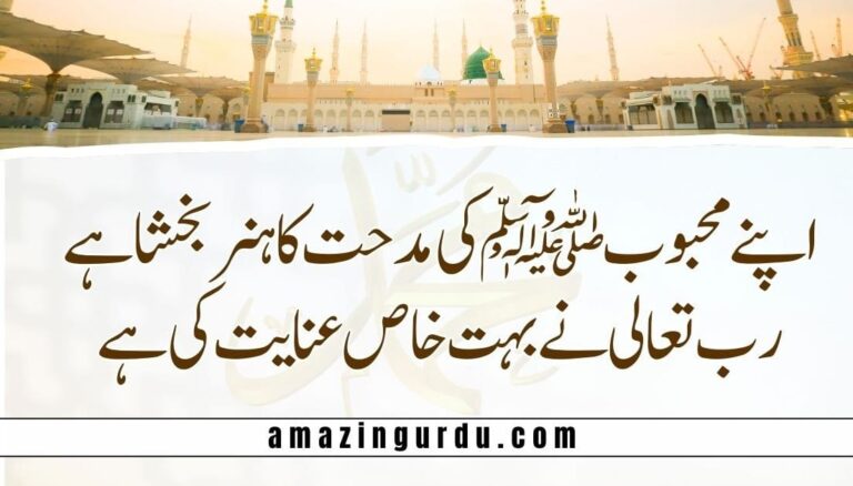 ہم نے دل جان سے آقا سے محبت کی ہے | اردو نعت شریف