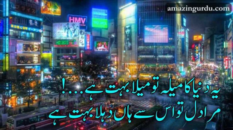 یہ دنیا کا میلہ تو میلا بہت ہے | دنیا کی بے ثباتی پر اردو اشعار