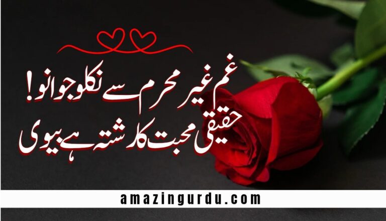 خدا تک پہنچنے کا رستہ ہے بیوی | بیوی پر اشعار