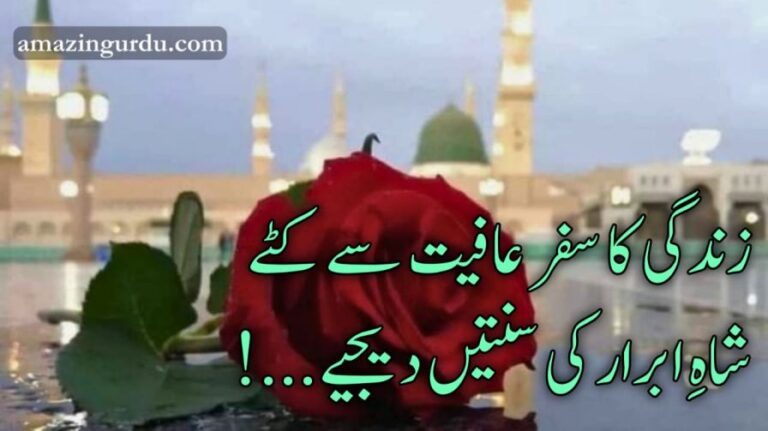 راحتیں دیجیے نعمتیں دیجیے اے خدا رزق میں برکتیں دیجیے | دعائیہ اردو کلام