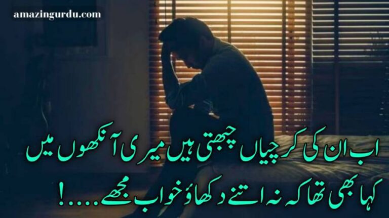 کسی نے خار ، کسی نے دیے گلاب مجھے | urdu poetry sad 2 lines