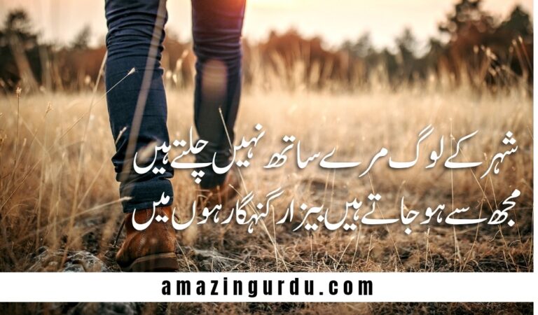 تُو مرے ساتھ نہ چل یار گنہگار ہوں میں | اقرار جرم پر شاعری