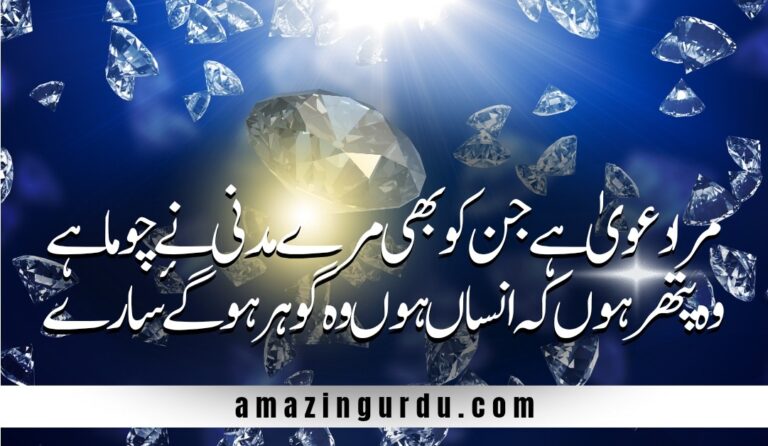 زمین و آسماں واللّٰہ منور ہو گۓ سارے