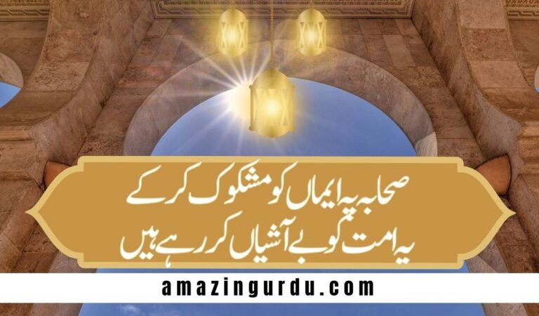 صحابہ سے جو بدگماں کررہے ہیں