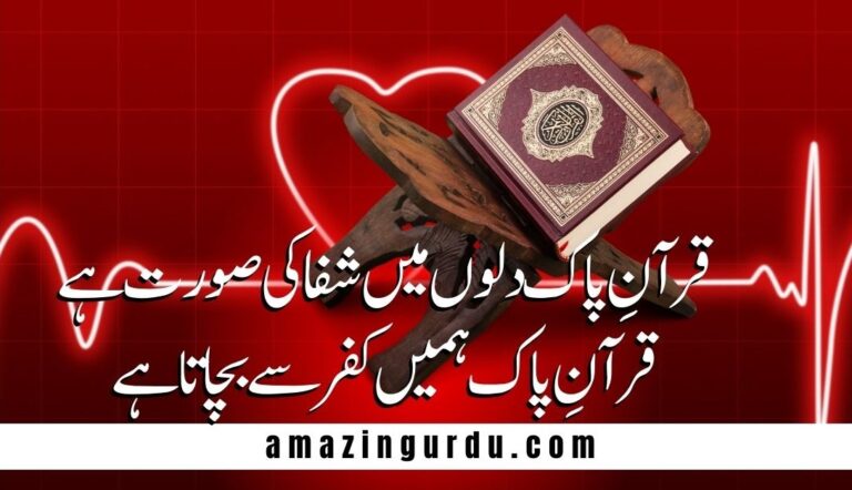 قرانِ پاک ہمیں روشنی دکھاتا ہے