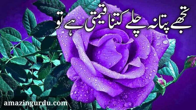تجھے پتہ نہ چلے کِتنا قیمتی ہے تُو |اردو نظم |Urdu poetry love romantic