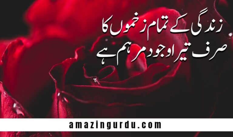 ہر طرف بے بسی کا عالم ہے