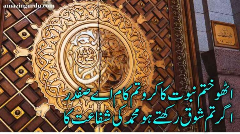 بیاں کیسے کروں رتبہ رسول اللہ کی عظمت کا | ختم نبوت پر اشعار