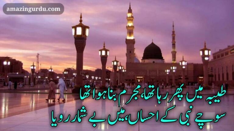 دربار مصطفی  میں ، زار و قطار رویا | نعت شریف اردو | naat poetry 2 lines