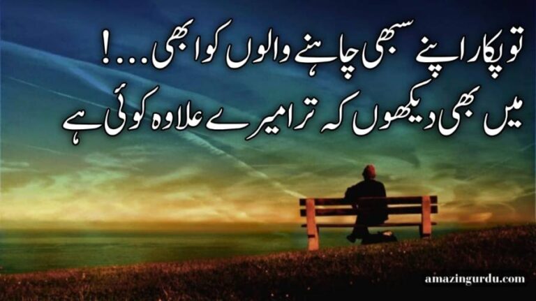 ہم کو چاہت تھی کسی اور کی، آیا کوئی ہے | اردو شاعری محبت | Urdu poetry love