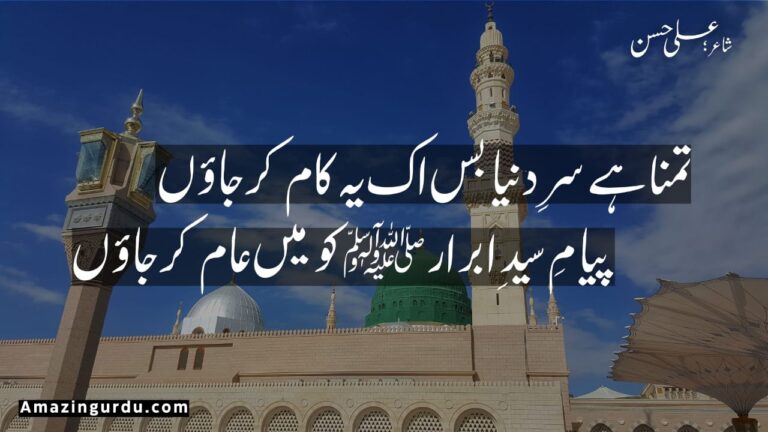 تمنا ہے سرِ دنیا بس اک یہ کام کر جاؤں |ولولہ انگیز شاعری | motivational urdu poetry