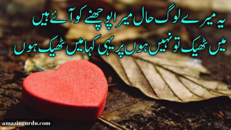 جب اُس نے پُوچھا حال تو ، میں نے کہا ؛ میں ٹھیک ہوں | دکھی اداس شاعری اردو