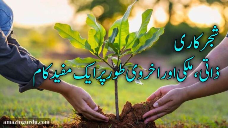 درخت لگائیں ملک بچائیں | شجرکاری ذاتی، ملکی، اور اخروی طور پر مفید کام