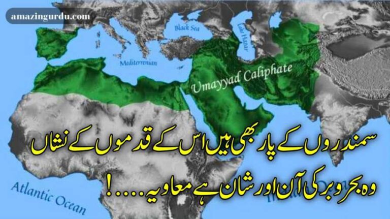 امیرِ شام ، کاتب قرآن ہے معاویہ |حضرت معاویہ رضی اللہ عنہ کی شان میں اشعار