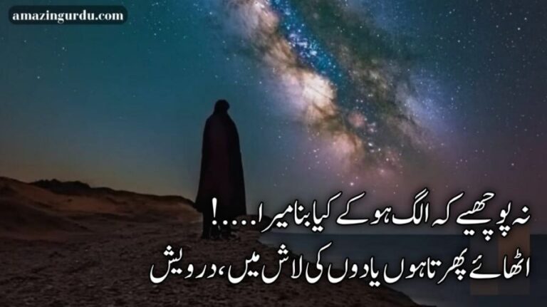 اگرچہ ہوں تو سہی پاش پاش میں درویش | درویشی پر اشعار | Urdu poetry text