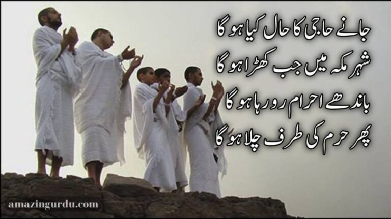 جانے حاجی کا حال کیا ہو گا شہر مکہ میں جب کھڑا ہو گا |حج شاعری | Hajj poetry in Urdu