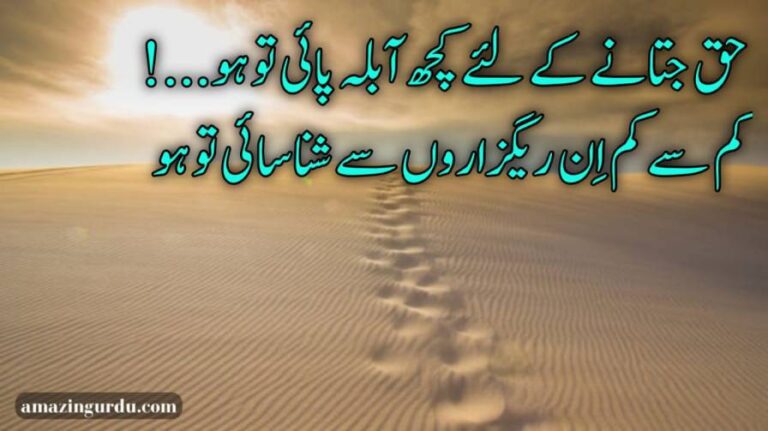 حق جتانے کے لئے کچھ آبلہ پائی تو ہو | انقلابی اشعار و غزل | urdu poetry inqalabi