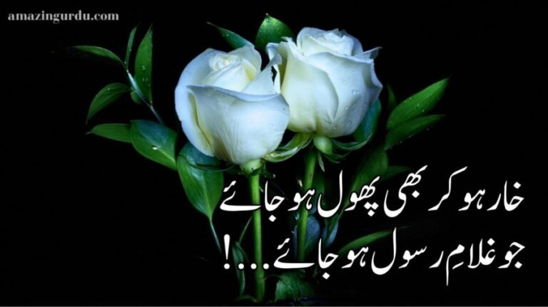 خار ہو کر بھی پھول ہو جائے جو غلامِ رسول  ہو جائے | نعت شریف|naat poetry in urdu two lines