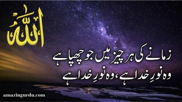 زمانے کی ہر چیز میں جو چھپا ہے وہ نورِ خدا ہے | حمدیہ اشعار | hamd poetry in urdu