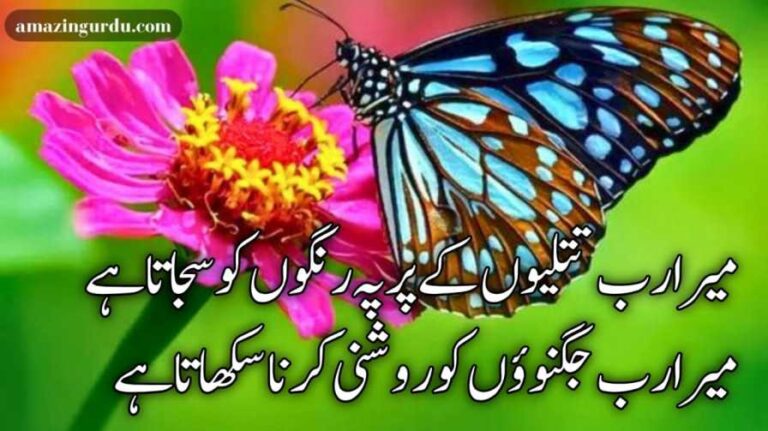 میرا رب تتلیوں کے پر پہ رنگوں کو سجاتا ہے | اللہ کی حمد پر اشعار | hamd in urdu text