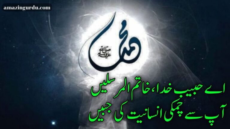 اپ خیر البشر آپ خیر الورٰی | نعت رسول مقبول | naat poetry in urdu two lines