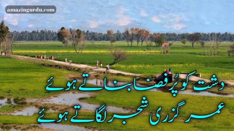 دشت کو پُرفضا بناتے ہوئے | غمگین شاعری اردو | urdu sad poetry 2 lines