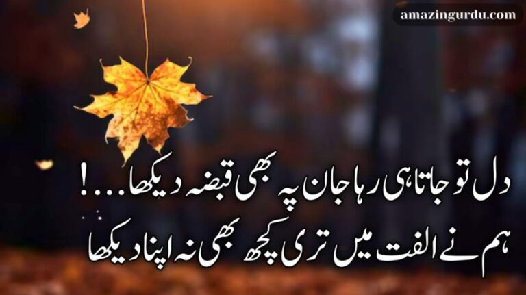 دل تو جاتا ہی رہا جان پہ بھی قبضہ دیکھا | محبت پر شاعری | Good Poetry In Urdu