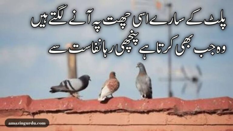 سَلام کرتی ہے اُس کو رِدا نَفاسَت سے | اردو شاعری | Urdu poetry beautiful