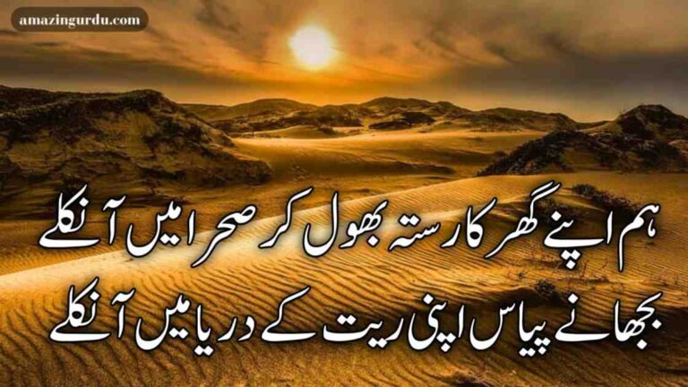 ہم اپنے گھر کا رستہ بھول کر صحرا میں آ نکلے | اداس شاعری | sad poetry urdu shayari