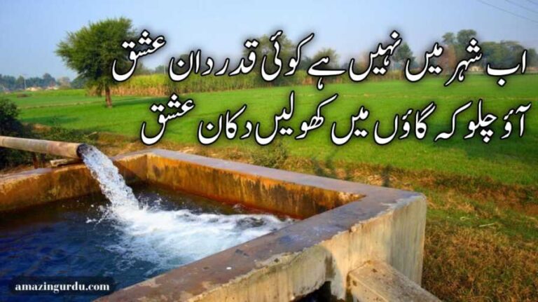 اب شہر میں نہیں ہے کوئی قدر دان عشق | عشق پر اشعار | love poetry in urdu