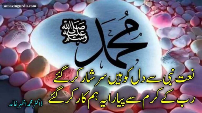 نعت نبی سے دل کو ہیں سرشار کر گئے | نعت شریف |islamic naat poetry in urdu two lines