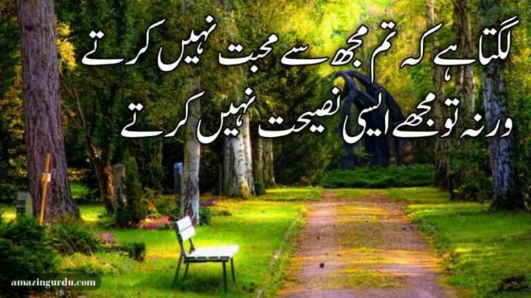 لگتا ہے کہ تم مجھ سے محبت نہیں کرتے | محبت پر اشعار | best urdu poetry love