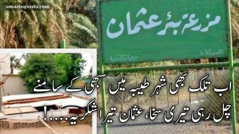 کی ہے آقا سے وفا ، عثمان تیرا شکریہ | حضرت عثمان کی شان میں کلام