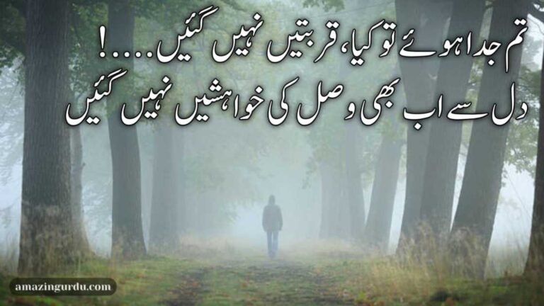 تم جدا ہوئے تو کیا، قربتیں نہیں گئیں | جدائی پر دکھی شاعری |sad love poetry