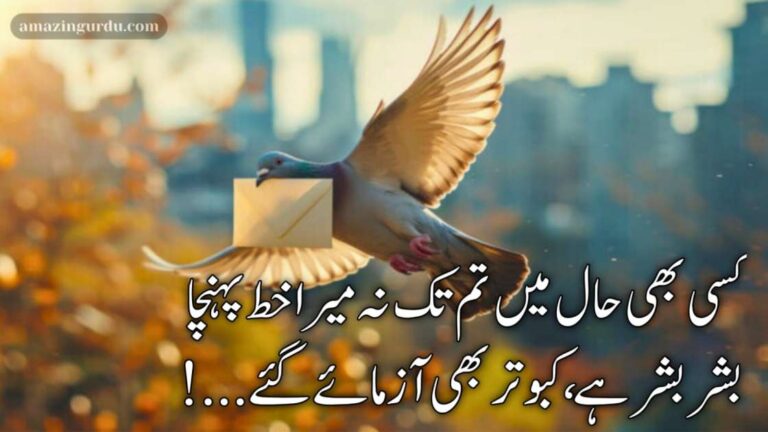 شکیب و صبر کے پیکر بھی آزمائے گئے | آزمائش پر اشعار |sad poetry in urdu text